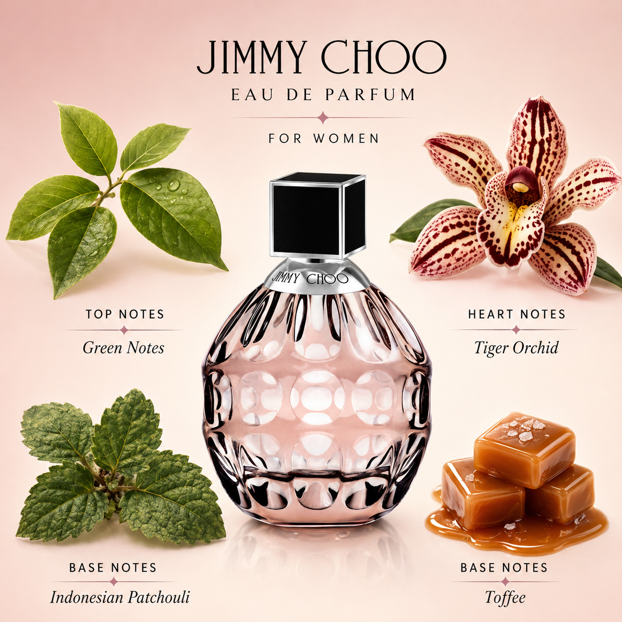 Jimmy Choo Eau de Parfum for Women for Women 3.4 Ounce