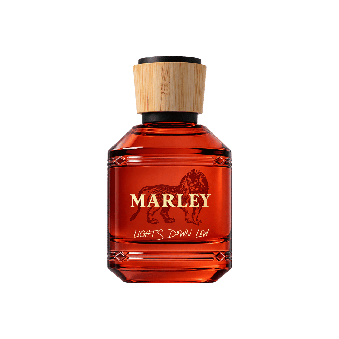 Michael Malul Lights Down Low Eau de Parfum for Unisex 3.4 Ounce