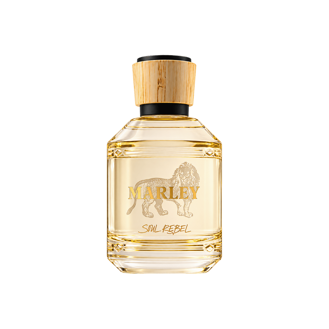 Michael Malul Soul Rebel Eau de Parfum for Unisex 3.4 Ounce