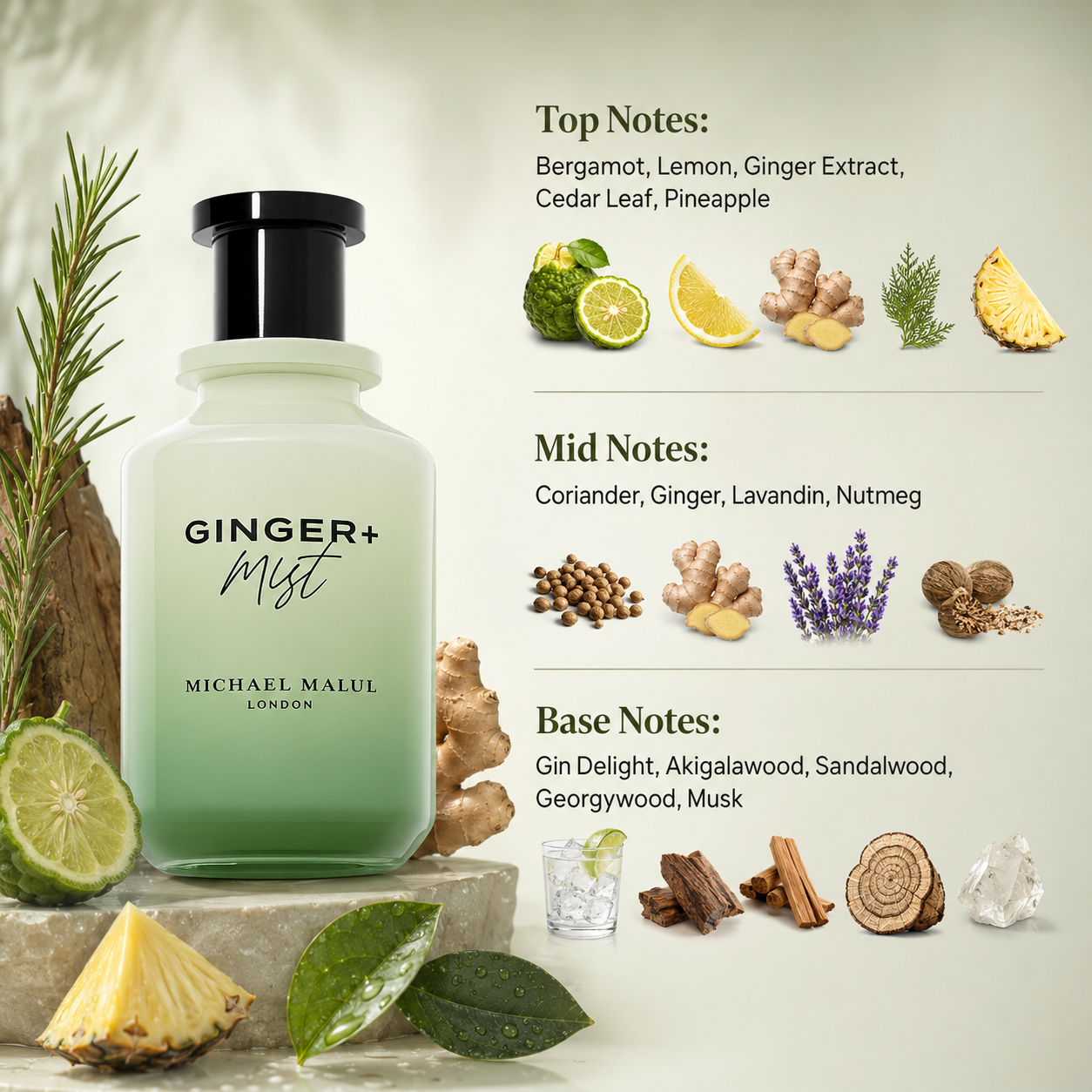 Michael Malul Ginger + Mist Eau de Parfum in an energetic modern lifestyle display